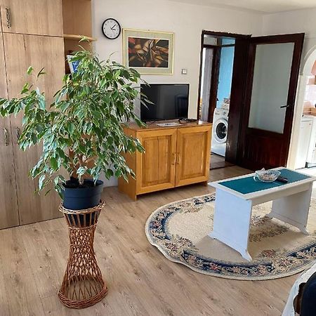 Ferienwohnung Micin Dom Pirot Exterior foto