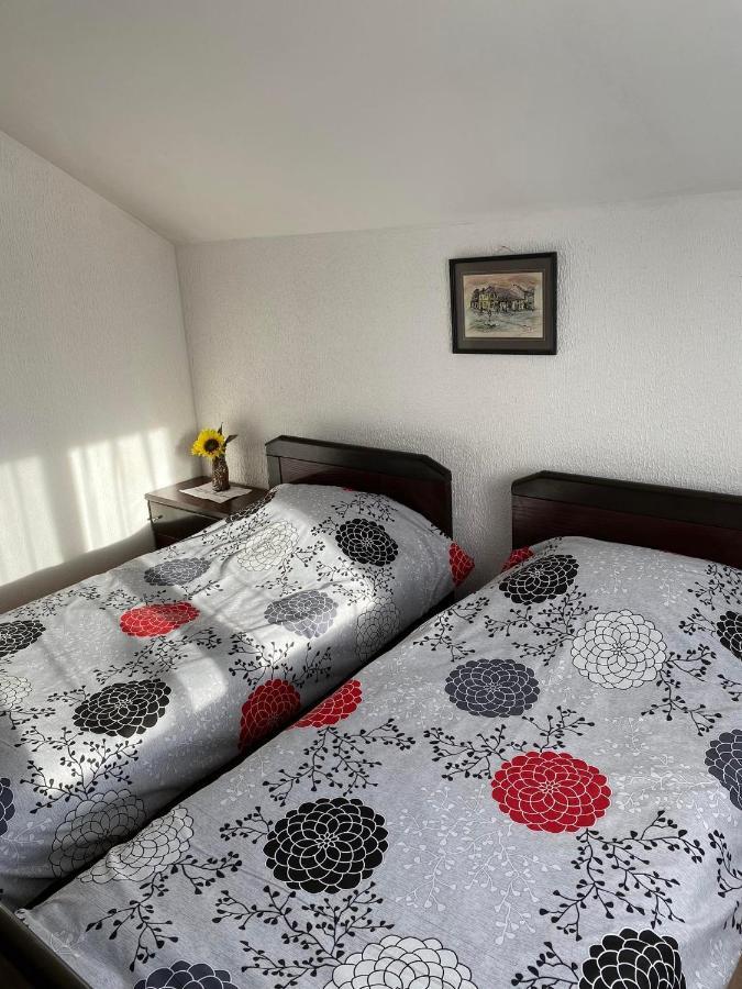 Ferienwohnung Micin Dom Pirot Exterior foto